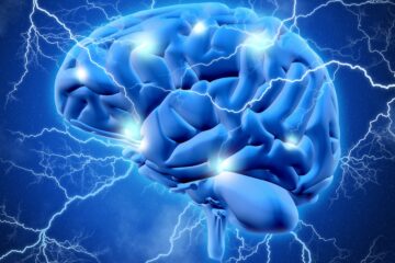 Neurotransmisores: Clasificación, Tipos y Función